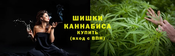 гидра Аркадак