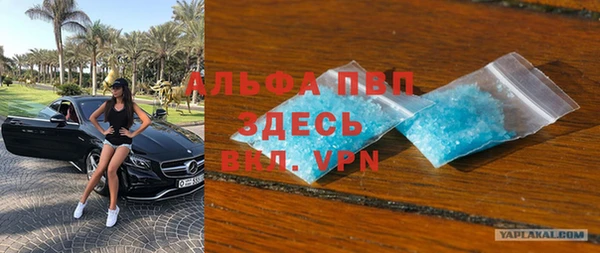 гидра Аркадак