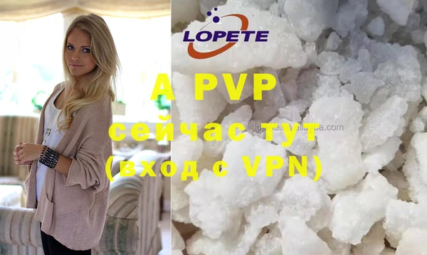 гидра Аркадак
