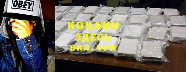 гидра Аркадак