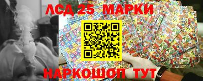 молекула духа Берёзовский