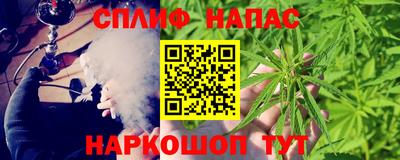 молекула духа Берёзовский