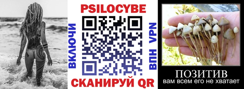 где можно купить наркотик  OMG ONION  Галлюциногенные грибы Psilocybe  Ахтубинск 