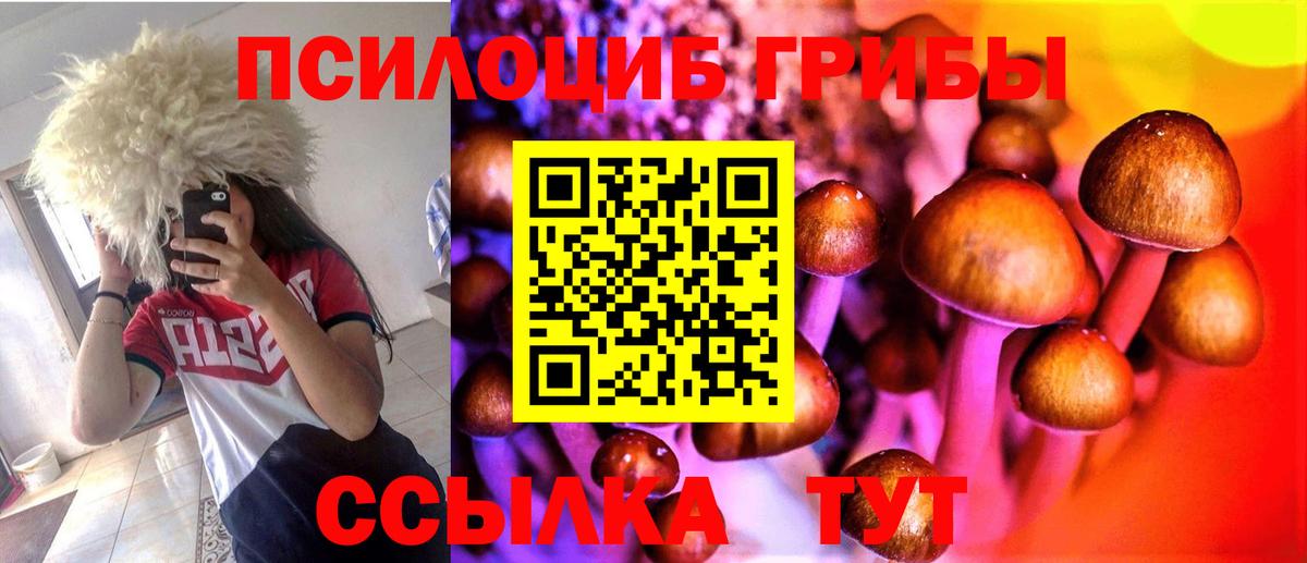 Псилоцибиновые грибы ЛСД Ахтубинск