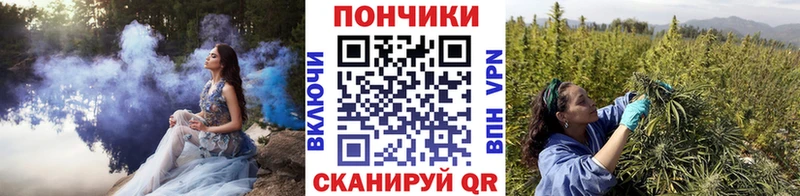 как найти закладки  Ахтубинск  Каннабис индика 